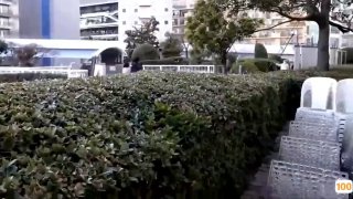 风间性色av一区二区⭕❌亚洲精品99久久久久中文字幕